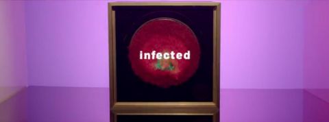 infected infected