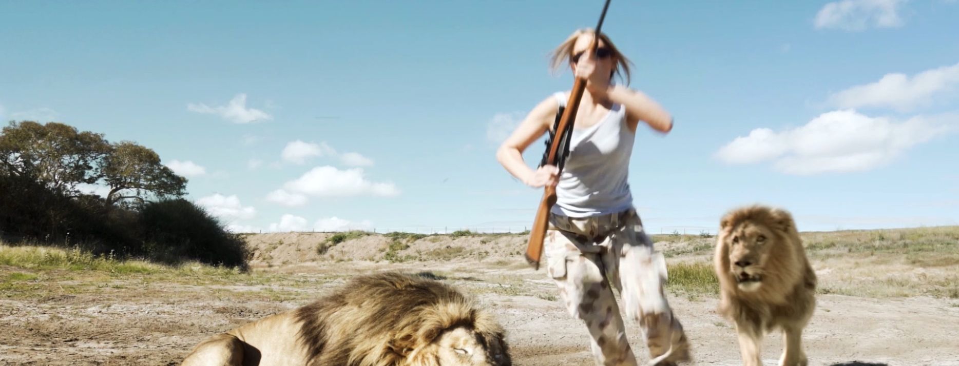 Lion Lion