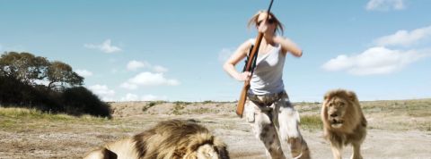 Lion Lion