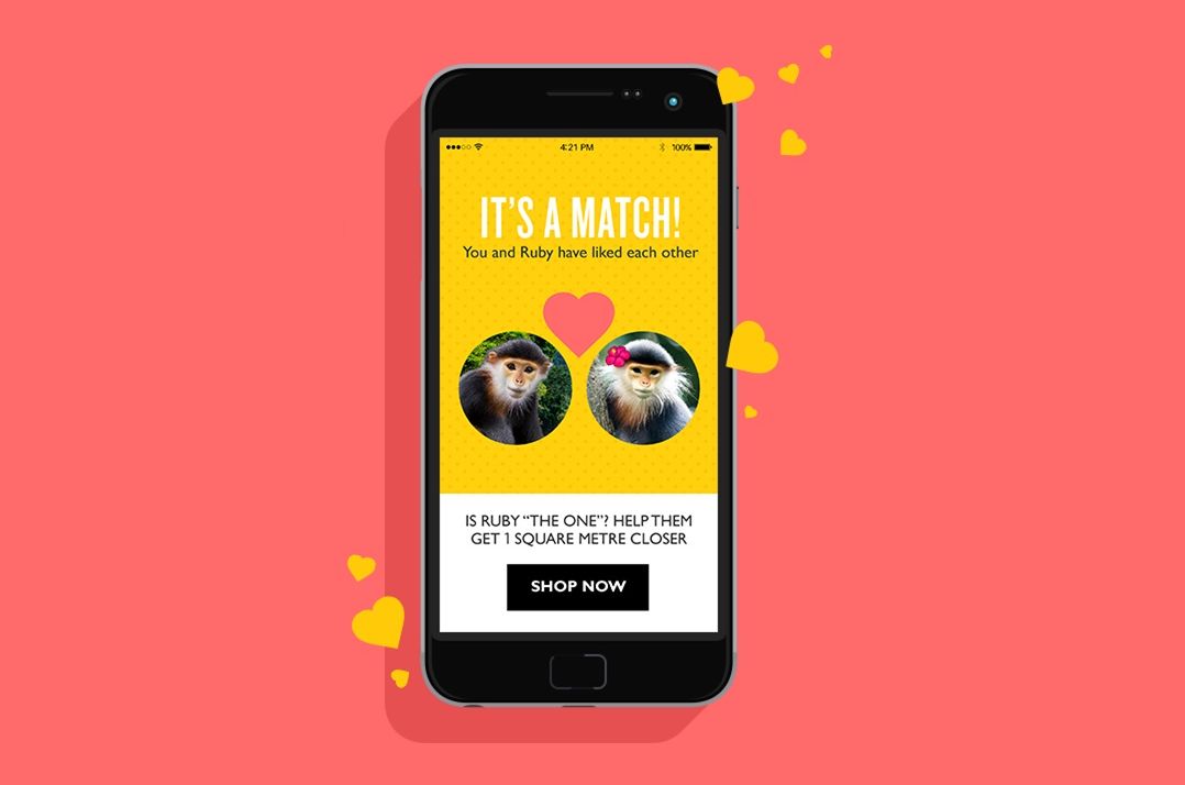 match match