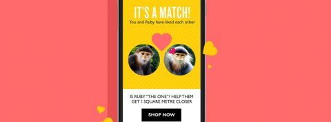 match match