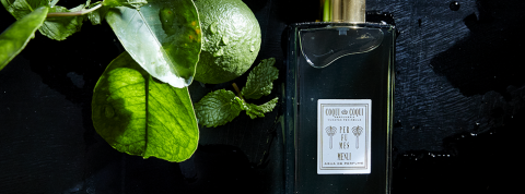 téléchargement téléchargement