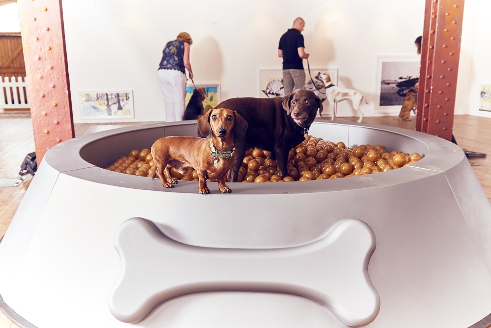 Contemporary art exhibition just for dogs Contemporary art exhibition just for dogs