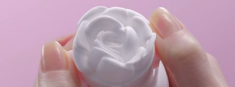 roses roses