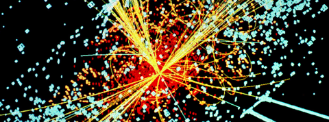 Crédit photo: KamiPhuc Crédit photo: KamiPhuc