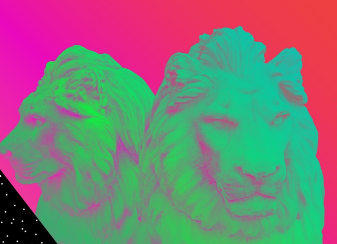 lion lion