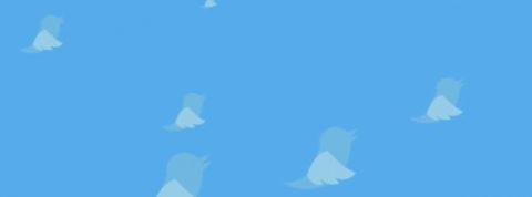 twitter fly twitter fly