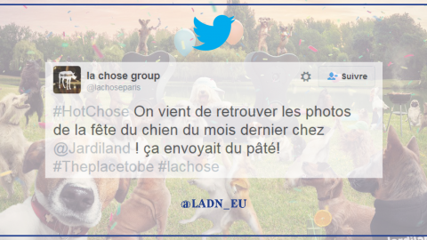 illustration-tweets-LADN-1