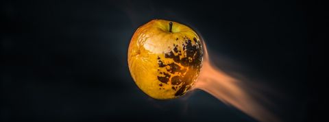 pomme pomme