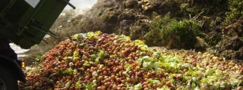 ADEME gaspillage alimentaire ADEME gaspillage alimentaire