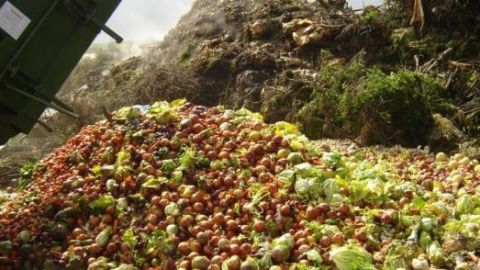 ADEME gaspillage alimentaire