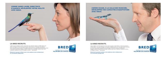 bred recrutement bred recrutement