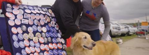 pedigree elections pedigree elections