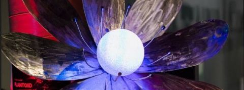 plantoid blockchain primavera de fillipi plantoid blockchain primavera de fillipi