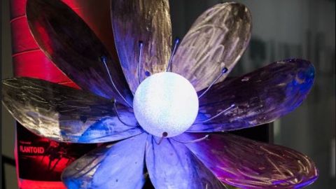 plantoid blockchain primavera de fillipi