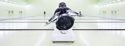 birdly birdly