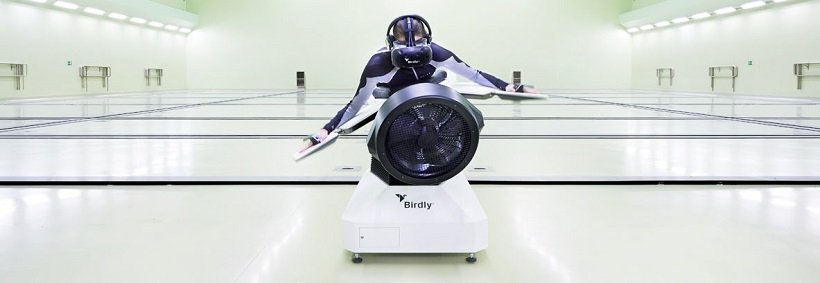 birdly birdly