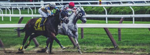 course chevaux course chevaux