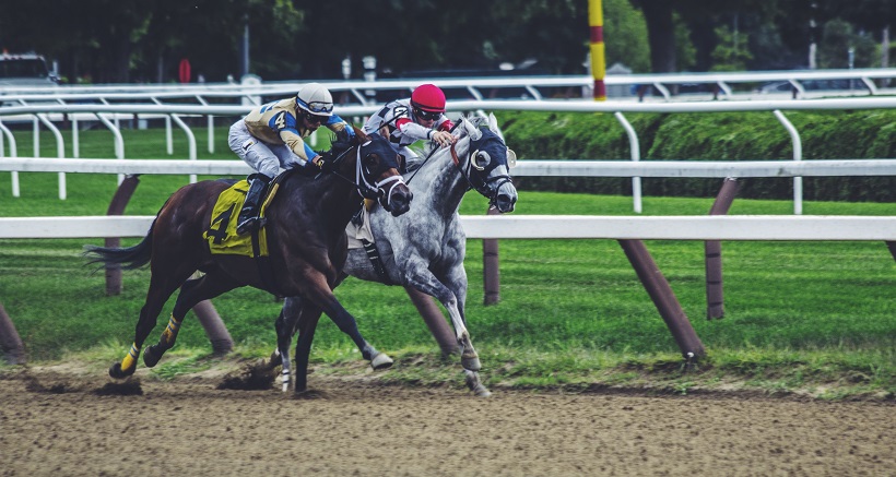 course chevaux course chevaux