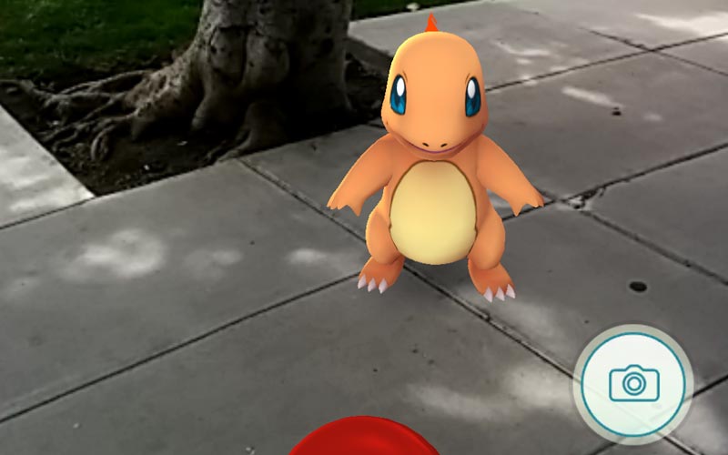 pogo pogo
