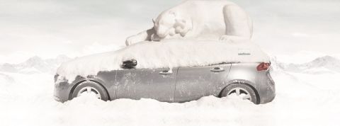 untouchable cars untouchable cars