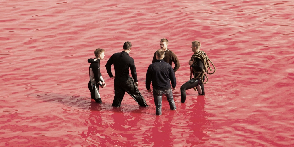 Activisme Sea Shepherd Activisme Sea Shepherd