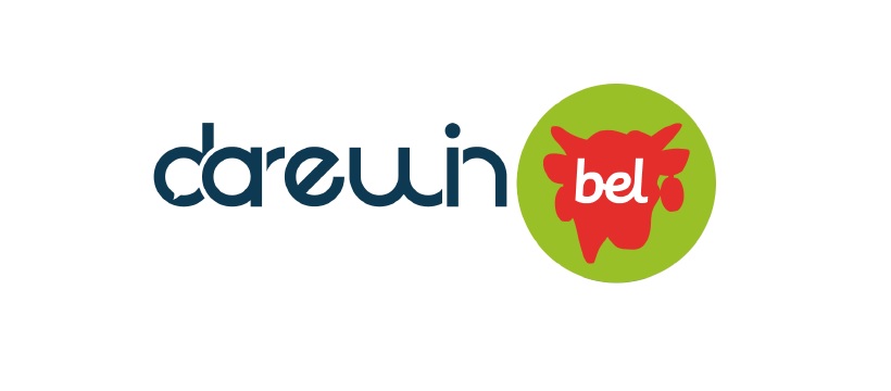 darewin bel darewin bel