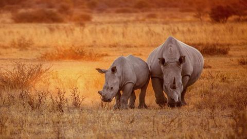 fondation sigfox fondation sigfox