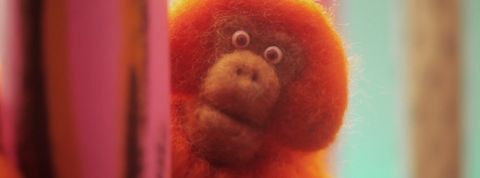 orang outan orang outan