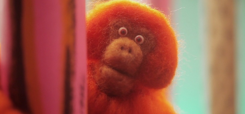 orang outan orang outan
