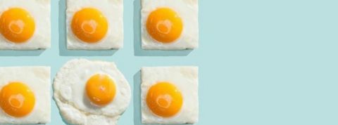 Sans titre Sans titre