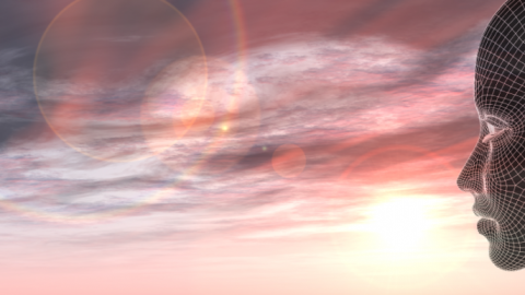 23 principes AI 23 principes AI