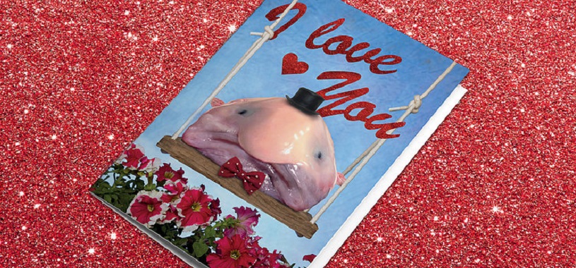 blobfish blobfish