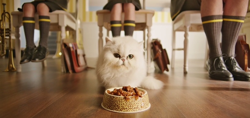 chat chat