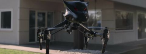 Droneweillerok Droneweillerok