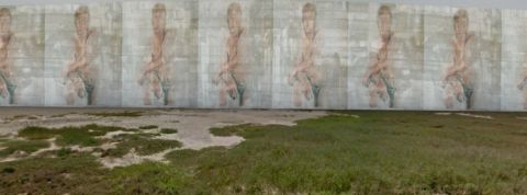 DTrumpwall DTrumpwall