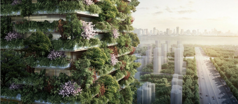 forest-cities forest-cities