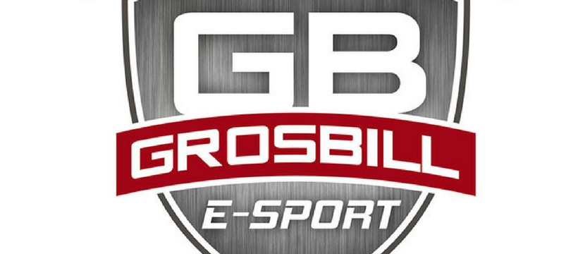 Grosbill Grosbill