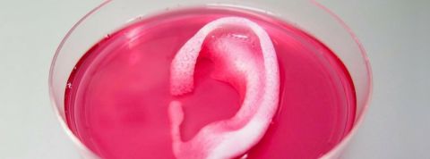 oreille3D oreille3D