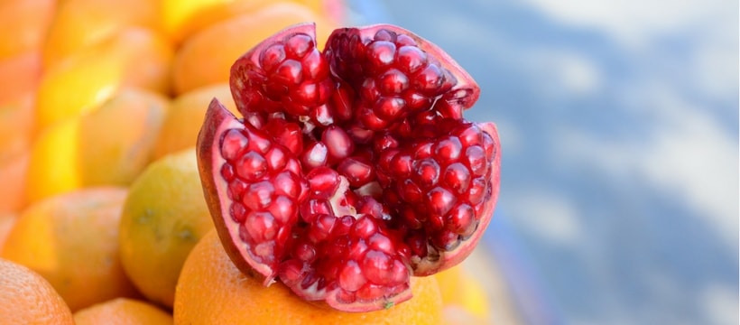 fruit fruit