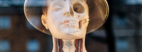 humain-vs-machine humain-vs-machine