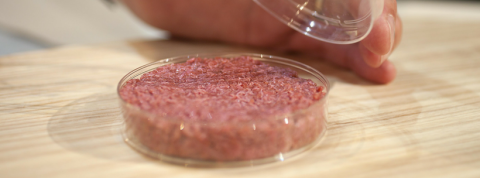 memphismeat memphismeat