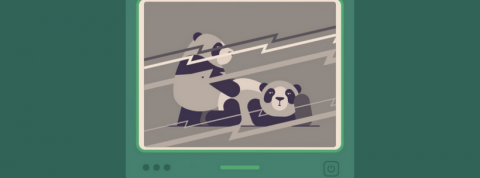 pandaporn pandaporn