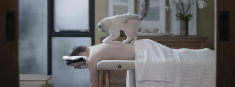 trisomie21 trisomie21