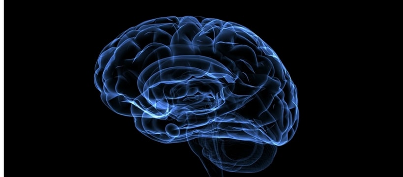blue-brain blue-brain