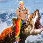 Vladimir Poutine sur un requin