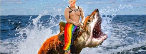 Vladimir-Poutine Vladimir Poutine sur un requin