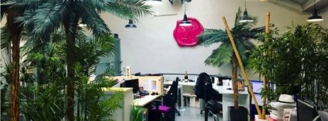 Dorcel Lab Dorcel Lab