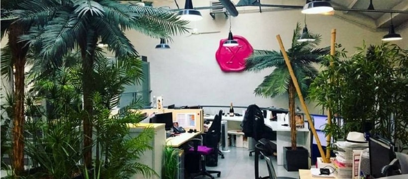 Dorcel Lab Dorcel Lab