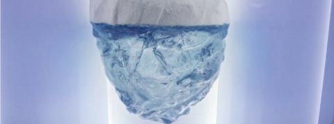 greenpeace reverse Greenpeace Reverse